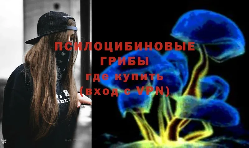 купить закладку  Сасово  Галлюциногенные грибы Magic Shrooms 